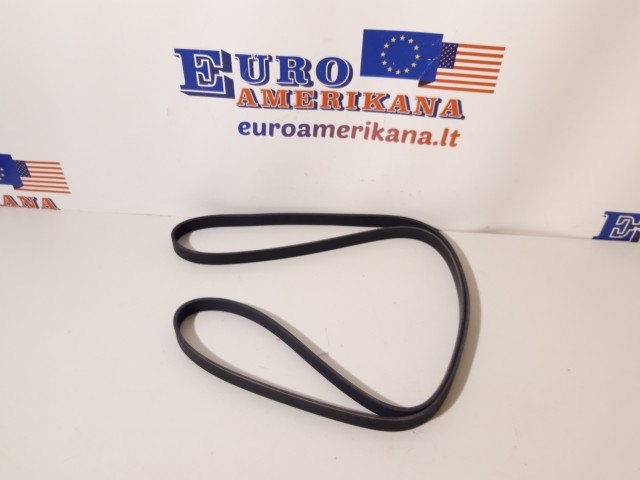 Serpentine Belt